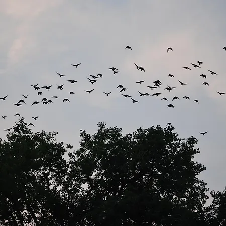 La Sucrerie 3* Amougies