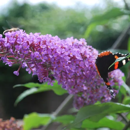 La Sucrerie Отель типа 